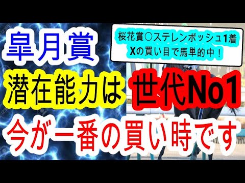 【競馬予想】皐月賞2024　今年最高のボーナスレース！　何故か全く人気のないシンエンペラーやレガレイラより強い馬を教えます！！