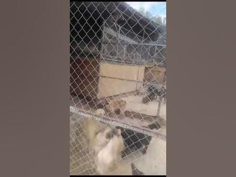Во имя Добра - YouTube