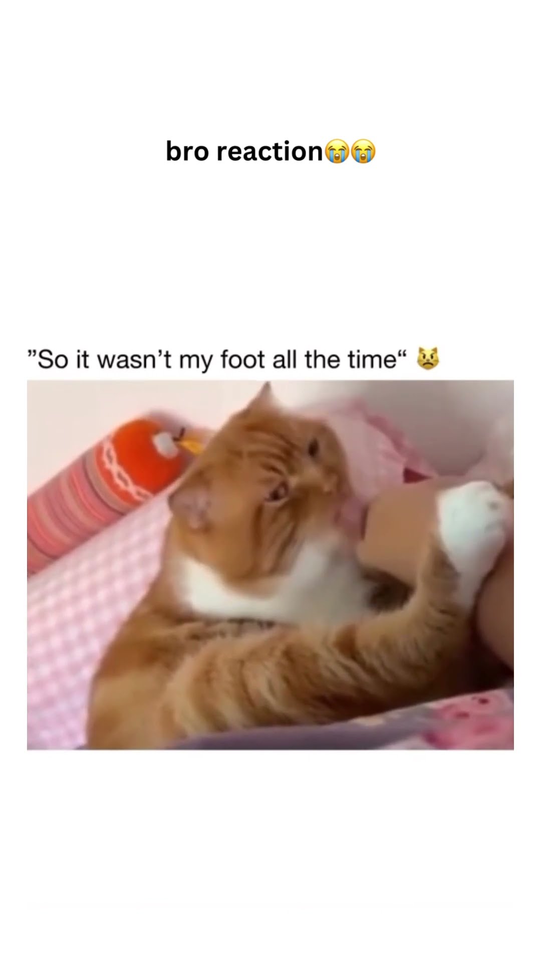 Bro looking like yeah this is so not my foot what the