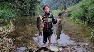 Fish catching skills, the orphan boy khai makes a casuarina tree to stab stream carp to sell