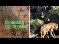 Copenhagen Zoo
