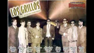 Video thumbnail of "Los Grillos - Mi dueña y señora.mpg"