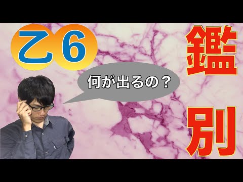 ★消防設備士乙６＆乙７＆乙４＆スイッチ３種　ひぃーくんさん専用 ☆消防設備士乙6＆乙7＆乙4＆スイッチ3種 ひぃーくん