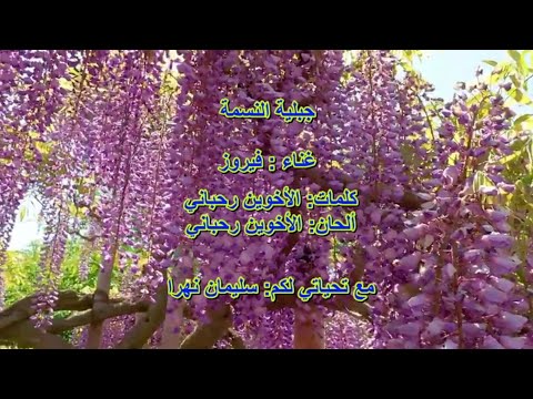 جبلية النسمة فيروز