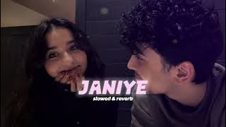 Janiye [Slowed+Reverb] - Vishal Mishra, Rashmeet Kaur | Chor Nikal Ke Bhaga | YuppDude