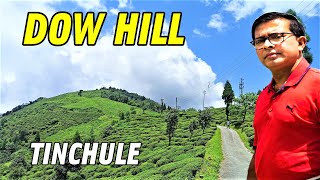 Dowhill | Dowhill School | Kurseong Sightseeing | Tinchule | Bagora Pine Forest | Offbeat Darjeeling