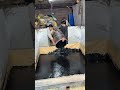 How Black Foam Is Made 😱 | Full Factory Manufacturing Process