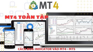 #4 Metatrader 4: Cách đưa indicators ra biểu đồ và đưa từ ngoài vào MT4 - Học viện forex