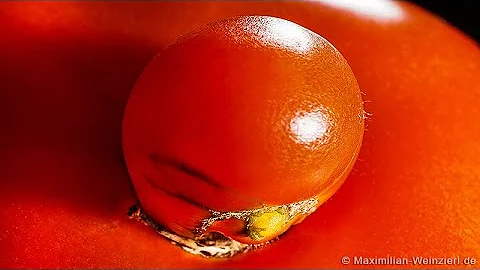 Sony QX1 Quick Macro Photo in Studio Ambience