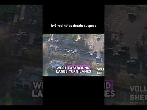 Florida man gets run down K-9 #police #lawenforcement #policearrest #bodycam #policechase