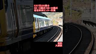 【JR東日本】E257系500番台NB-19編成+NB-05編成　大網駅発車