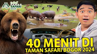 40 MENIT DI TAMAN SAFARI BOGOR! SEDEKET INI SAMA HEWAN BUAS DAN KITA COBA KASIH MAKAN SEMUANYA!