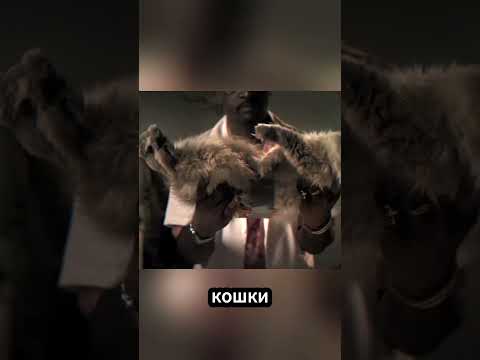 Учёный открыл бесконечный источник энергии с помощью кота и тоста!⚡🐾