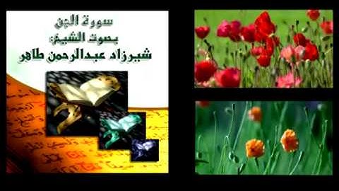 سورة الجن بصوت شجي للشيخ شيرزاد عبد الرحمن طاهر