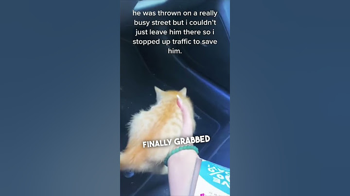 She saved a kitten’s life ❤️