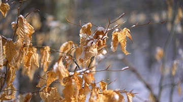 Creation over Consumption