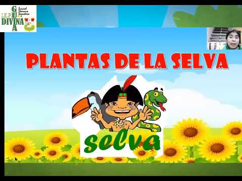 Video: Plantas Y Animales De La Selva