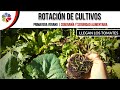 🍅♻🥒 ROTACIÓN de CULTIVOS en la PRÁCTICA - Tomate - Zapallito - Zucchini - Pimientos