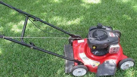 MTD 20 in. Push Mower