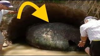 Excavator Busts Open Rock, Realizes His Mistake - YouTube