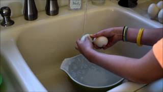 Washing Duck Eggs