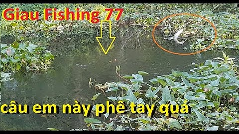 Giàu Fishing 77 I Câu cá ở rãnh thoát nước xem thế nào I cái kết siêu ngọt