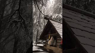 Jamdagni temple, Prini, Manali #himachalpradesh #kullu #snowfall #kulluvalley