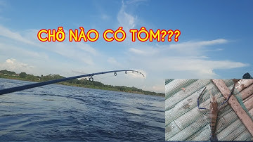 CHỌN VỊ TRÍ NÀO CÂU TÔM SÔNG HIỆU QUẢ???