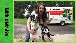 We're Moving! You'll Never Guess Where! Key And Harl. by Katelyn Key 329 views 5 years ago 1 minute, 32 seconds