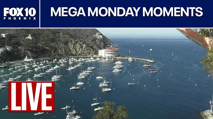 🔴LIVE WEBCAMS around the world | October 20