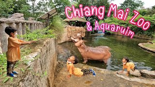 กวินพาเที่ยว สวนสัตว์เชียงใหม่ | Chiang Mai Zoo & Aquarium