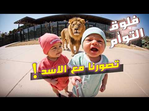 فلوق توأم الذكاء الاصطناعي استكشاف حديقة الحيوانات