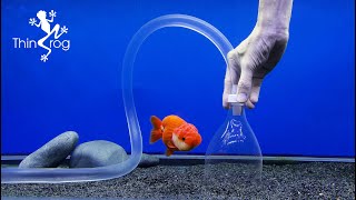 Cleaning waste from aquarium sand without changing water