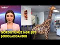 Gördüyünüz hər şey şokoladdandır - Maraqlı Anlar | BAKU TV