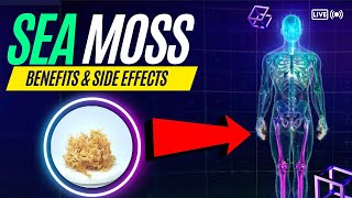 Sea Moss Benefits and Side Effects screenshot 5