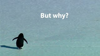 1 Hour Of The Wandering Penguin Song gigi Dagostino Lamour Toujours Organ Slowed Version Aka