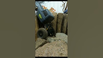 Custom RC Rock Crawler Climbs Wall - Rig Showcase