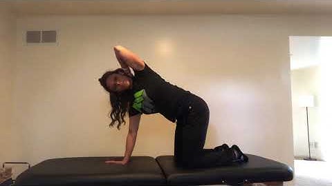 Quadruped Trunk Rotation