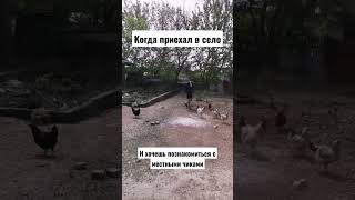 Когда приехал в село и хочешь познакомиться с местными чиками