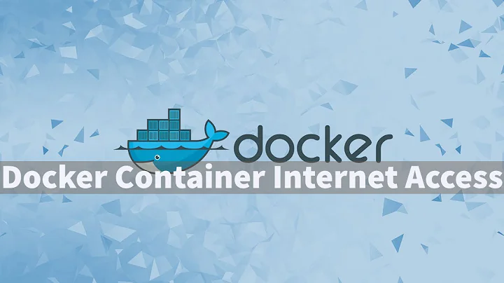 Docker Container Internet Access