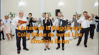 Lăutarii de la Măgdăcești - Colaj Sârbe de Nuntă Live (Efrosinia).