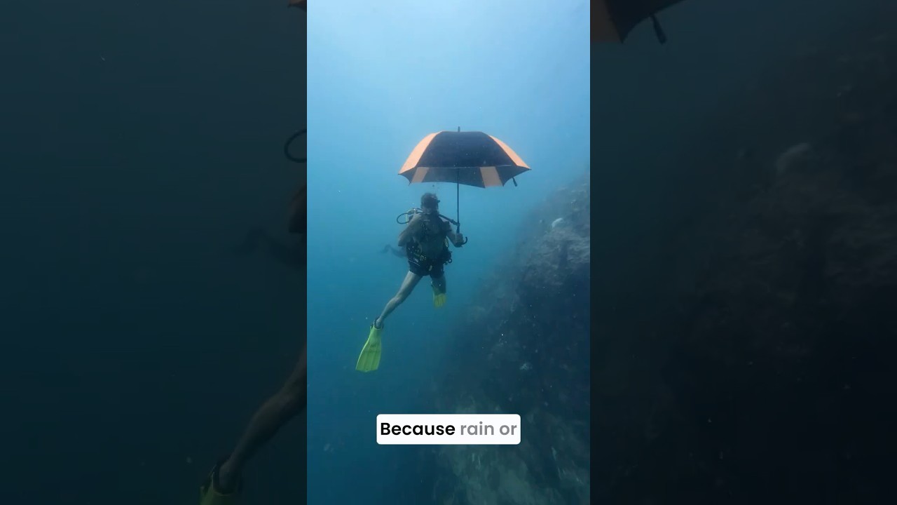 Rainy Season Scuba Diving in Phuket: Eco-Friendly Adventures & Ocean Conservation