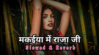 मकईया में राजा जी || Slowed And  Reverb Song || ROHIT'S LO-FI ||