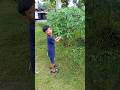 Itu buah apa? #shorts #funny #comedy