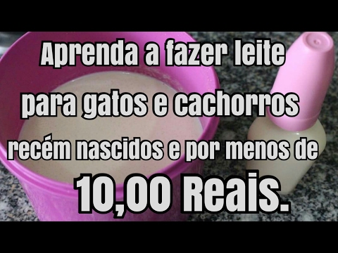 Vídeo: Sobre os tumores mesenquimais em cães