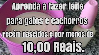 Como fazer Leite para Gatos e Cachorros recém nascidos.