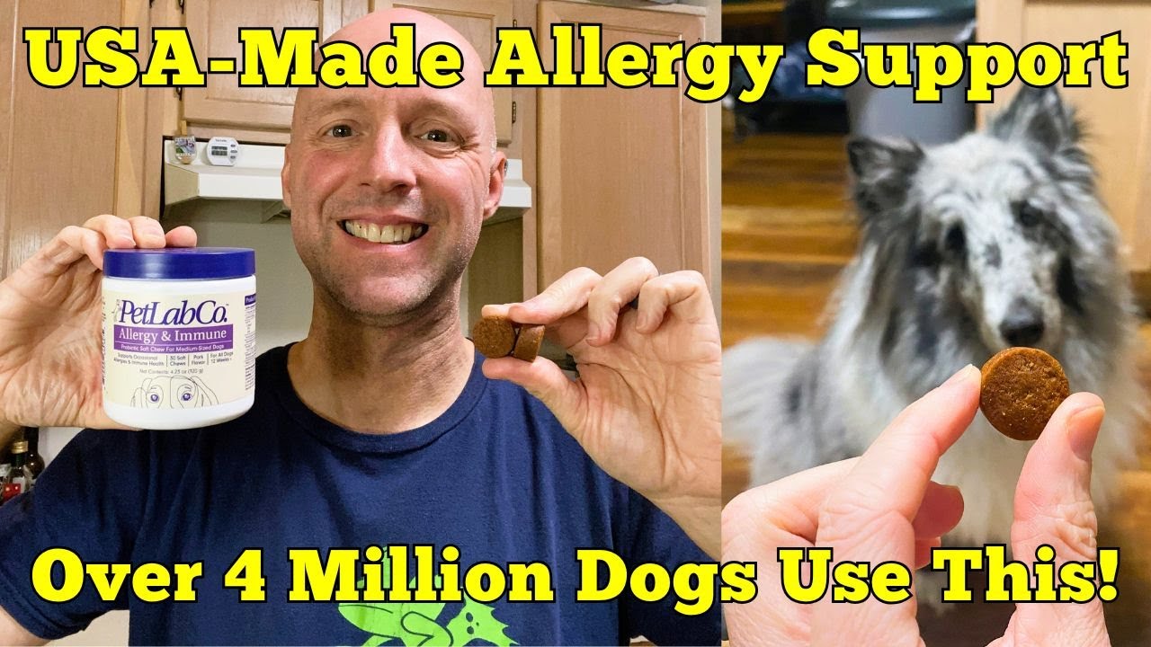 PetLab Co. Dog Probiotics Review – USA-Made & Allergy-Approved!