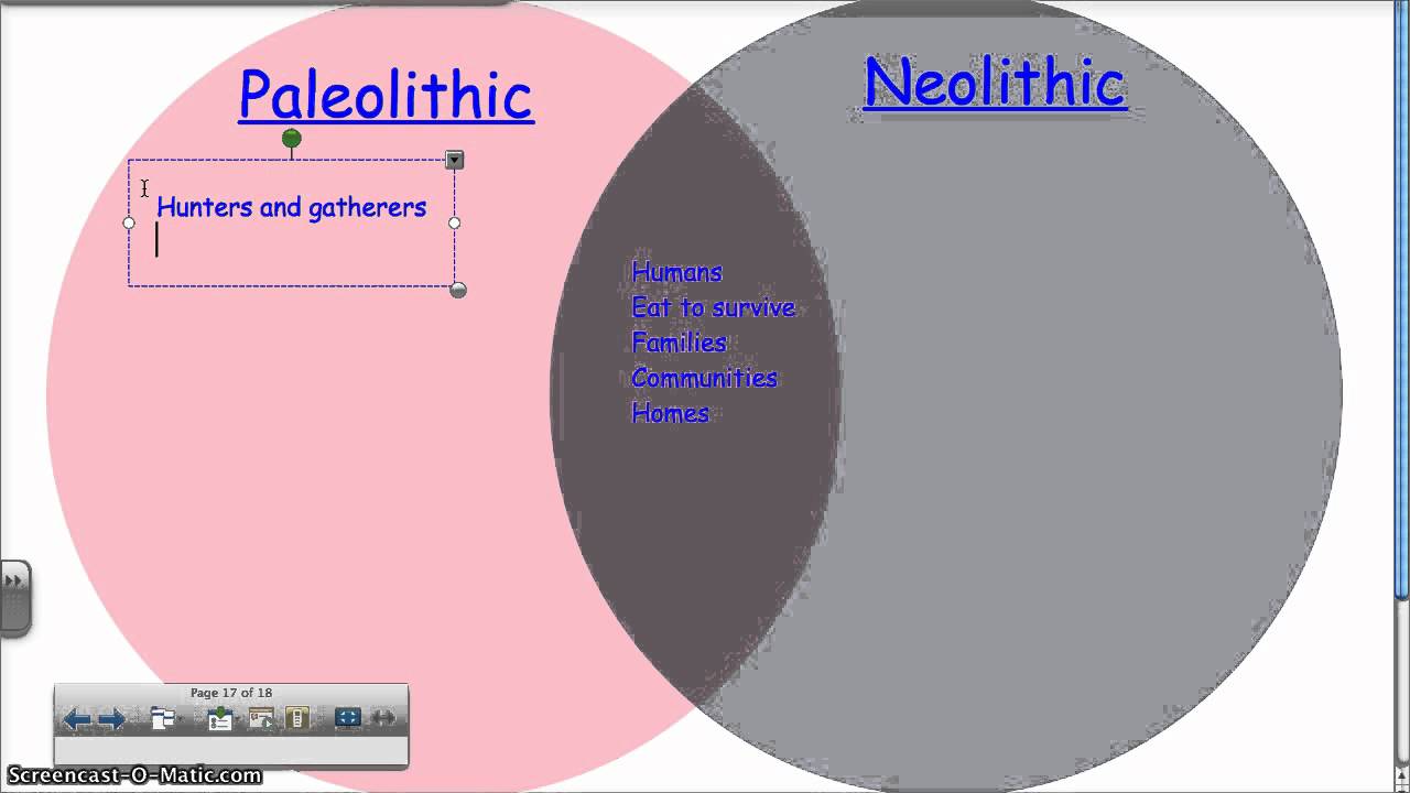 paleolithic vs neolithic art