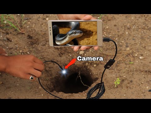 बाल बाल बचा - Mini USB Camera - साँप के बिल में Camera डाला (Shocking Result) - Giveaway