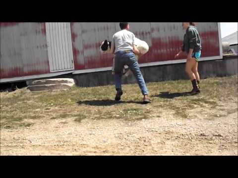 A Day in the Life of a Farmer